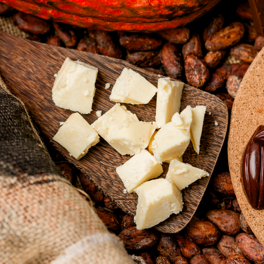 Cacao Butter / Manteca de Cacao